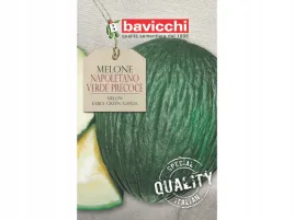 melon-napoletano-verde-precoce-wloskie-nasiona-bavicchi