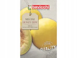 melon-zolty-honey-dew-oryginalne-wloskie-nasiona-bavicchi