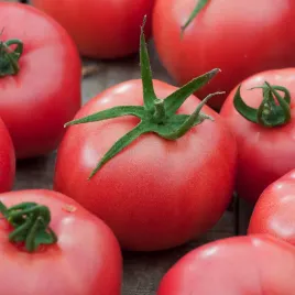 pomidor-gruntowy-malinowy-olbrzym-nasiona-warzyw-bardzo-duze-owoce