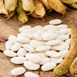 fasola-piekny-jas-tyczna-na-suche-nasiona-nasiona-fasoli-plenna-odporna