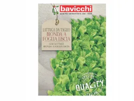 salata-lisciasta-bionda-a-foglia-liscia-nasiona-bavicchi