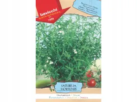 czaber-ogrodowy-wloskie-nasiona-bavicchi