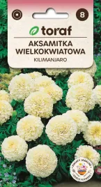 nasiona-toraf-aksamitka-wielkokwiatowa-kilimanjaro-0-3g