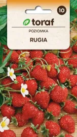nasiona-toraf-poziomka-rugia-0-2g