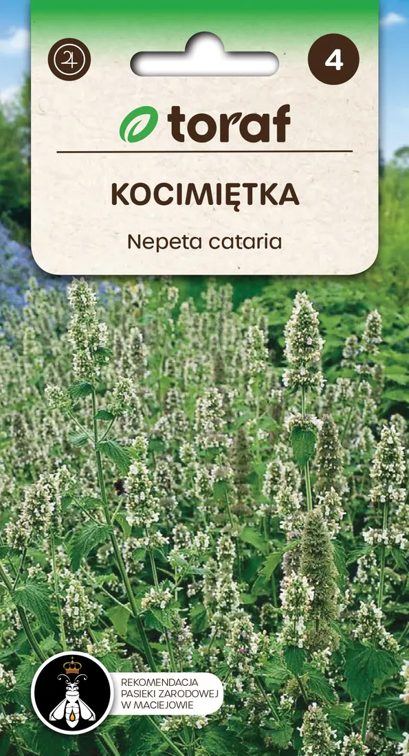 Grafika w opisie produktu
