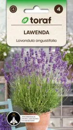 nasiona-toraf-lawenda-0-2g