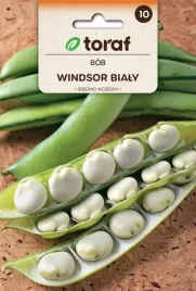 nasiona-toraf-bob-windsor-bialy-50g