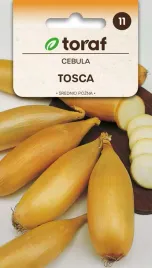 nasiona-toraf-cebula-tosca-2g