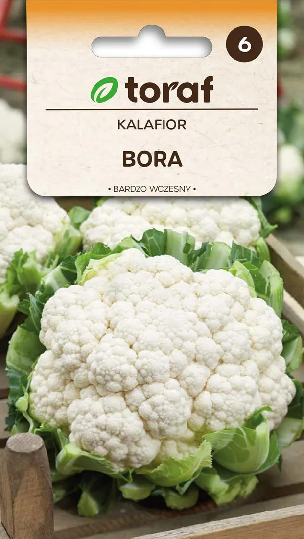 Grafika w opisie produktu