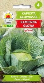 nasiona-toraf-kapusta-glowiasta-kamienna-glowa-2g