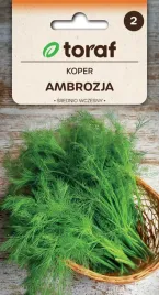 nasiona-toraf-koper-ambrozja-5g
