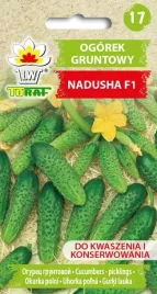 nasiona-toraf-ogorek-gruntowy-nadusha-f1-1g