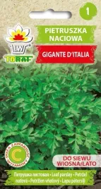 nasiona-toraf-pietruszka-naciowa-gigante-d-italia-2g