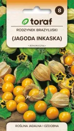 nasiona-toraf-rodzynek-brazylijski-jagoda-inkaska-0-2g