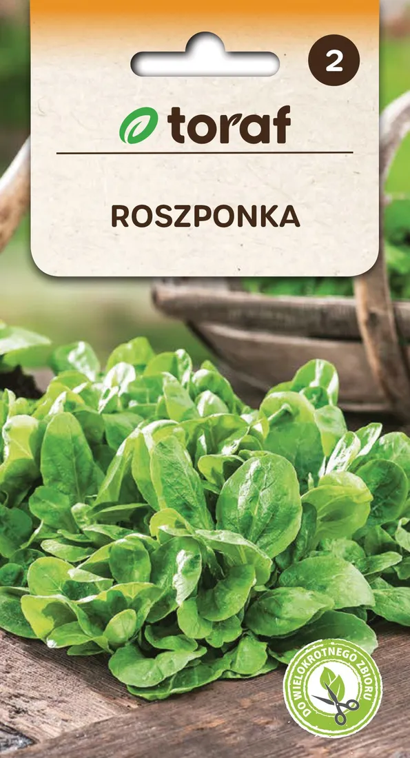 Grafika w opisie produktu