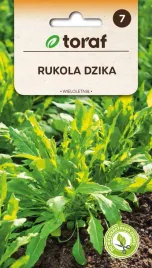 nasiona-toraf-rukola-dzika-wieloletnia-1g