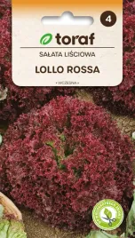 nasiona-toraf-salata-lisciowa-lollo-rossa-1g