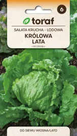 nasiona-toraf-salata-krucha-lodowa-krolowa-lata-1g