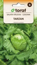 nasiona-toraf-salata-krucha-lodowa-tarzan-1g