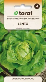 nasiona-toraf-salata-glowiasta-maslowa-lento-1g