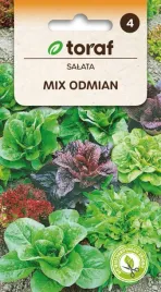 nasiona-toraf-salata-mix-odmian-1g