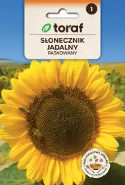 nasiona-toraf-slonecznik-jadalny-paskowany-10g