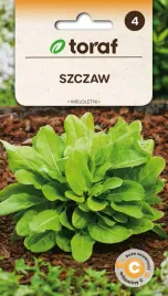 nasiona-toraf-szczaw-wieloletni-3g