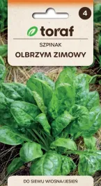 nasiona-toraf-szpinak-olbrzym-zimowy-10g