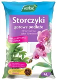 ziemia-do-storczykow-westland-4l