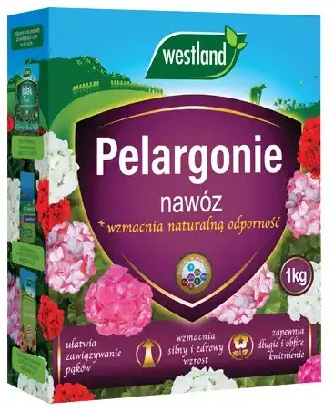 Grafika w opisie produktu
