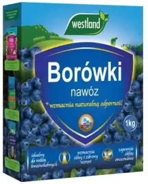 nawoz-do-borowek-westland-1kg