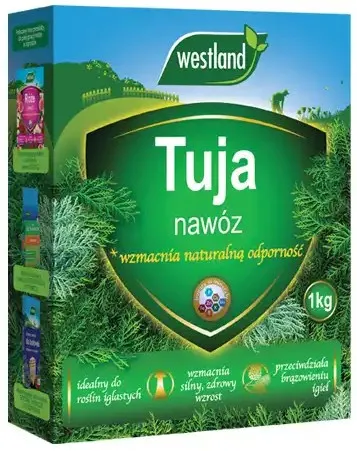 Grafika w opisie produktu