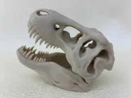 kopia-czaszka-dinozaura-t-rexa-xxl