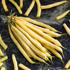fasola-szparagowa-karlowa-goldtime-nasiona-warzyw-zolte-smaczne-straki