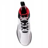 meskie-buty-do-koszykowki-e221011a-peak-43-stan-nowy