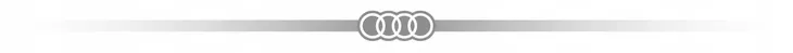 audi-iml-stitching-pattern-case-do-iphone-16-6-1-do-magsafe-hardcase-certyfikat-ce