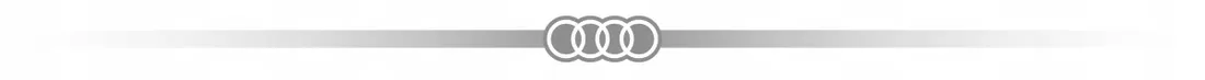 audi-iml-stitching-pattern-case-do-iphone-16-6-1-do-magsafe-hardcase
