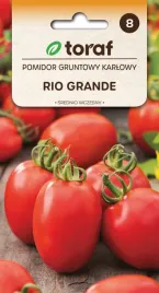 pomidor-rio-grande-nasiona-warzyw-05g-toraf