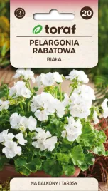 pelargonia-rabatowa-biala-f2-nasiona-kwiatow-005g-toraf