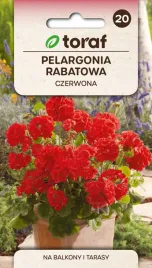 pelargonia-rabatowa-czerwona-f2-nasiona-kwiatow-005g-toraf