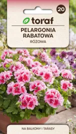 pelargonia-rabatowa-rozowa-f2-nasiona-kwiatow-005g-toraf