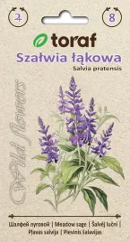 szalwia-lakowa-nasiona-kwiatow-02g-toraf