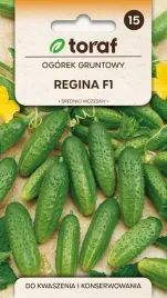 ogorek-regina-f1-nasiona-warzyw-5g-toraf