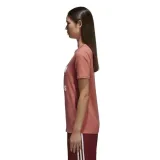 trefoil-kod-producenta-cv9890