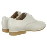 cambrai-marka-lacoste