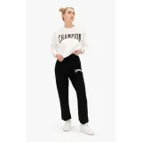 collegiate-logo-blend-cropped-marka-champion