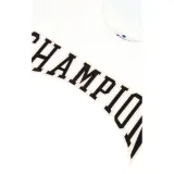 collegiate-logo-blend-cropped-rozmiar-s