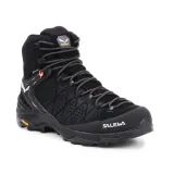 ws-alp-trainer-2-mid-gtx
