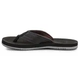 coastal-oasis-deluxe-m-rozmiar-39