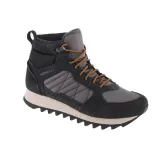 alpine-mid-plr-wp-2